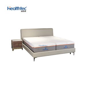 Adjustable Bed with Integrated Mattress _ Model D0181(1)