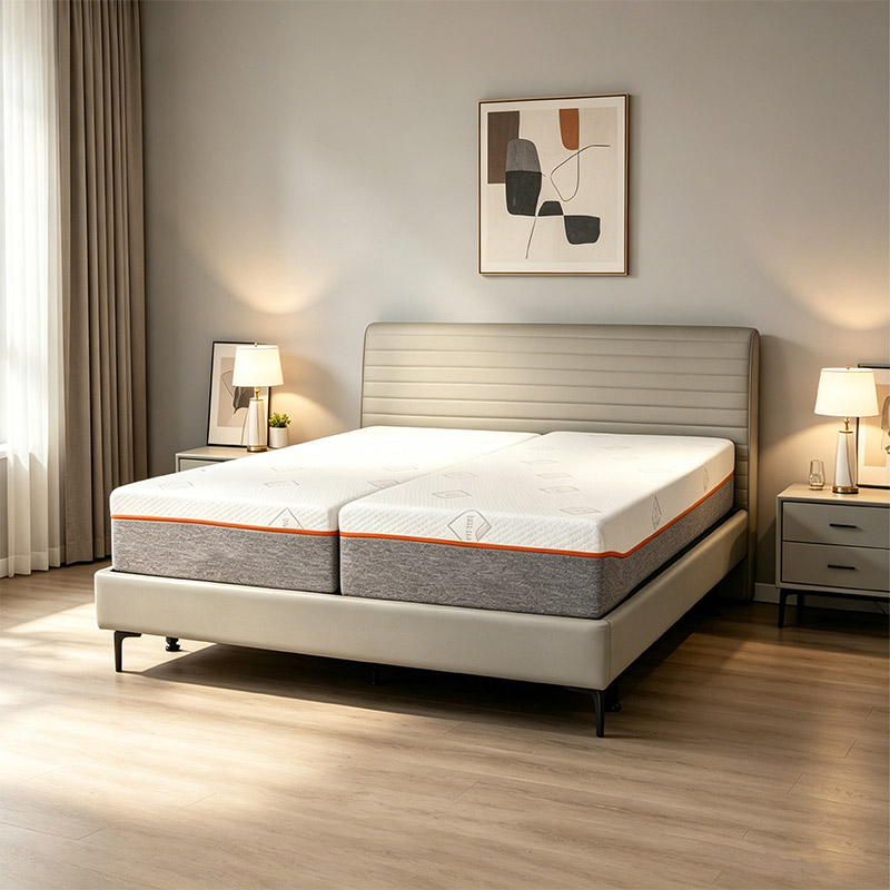 Adjustable Bed with Integrated Mattress _ Model D01813